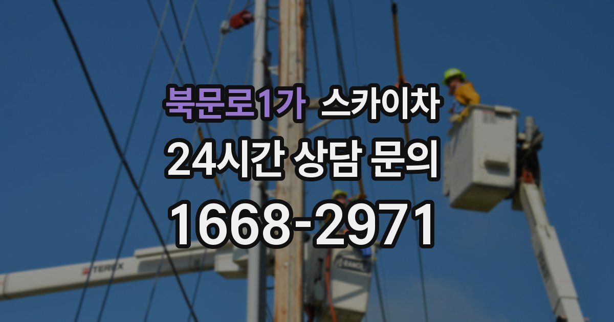 북문로1가 스카이차