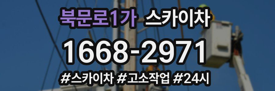 북문로1가 스카이차