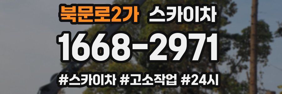 북문로2가 스카이차