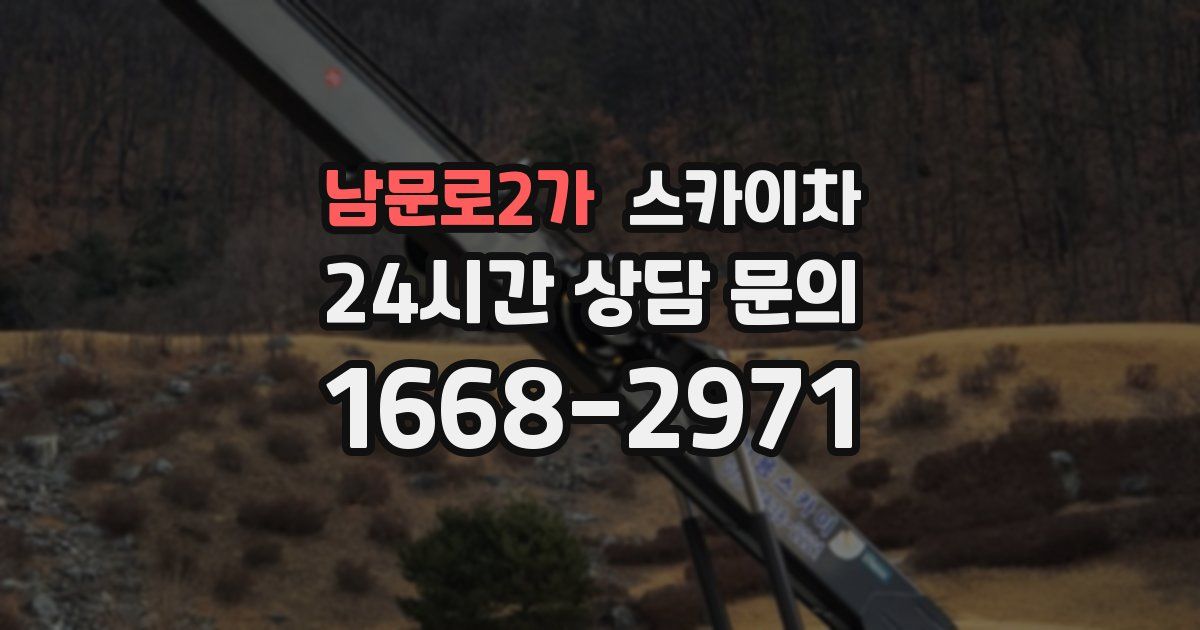 남문로2가 스카이차