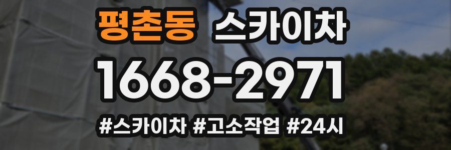 평촌동 스카이차