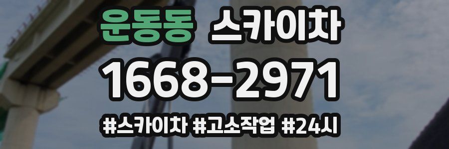 운동동 스카이차