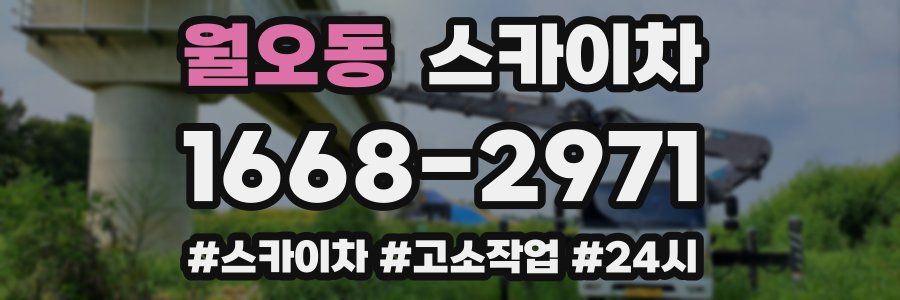 월오동 스카이차