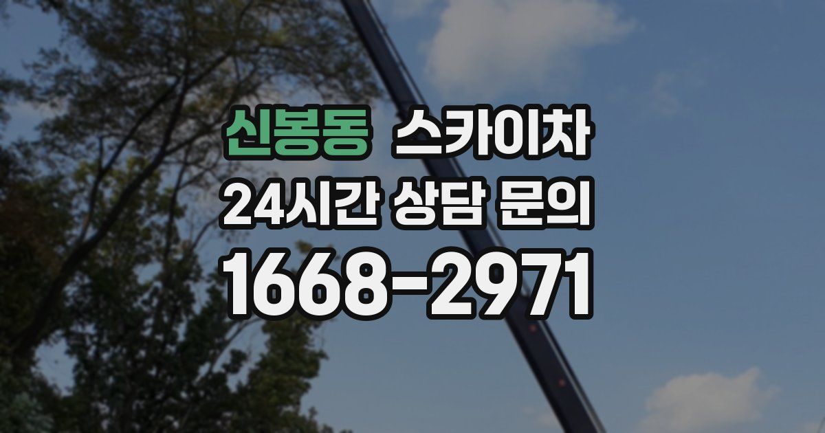 신봉동 스카이차