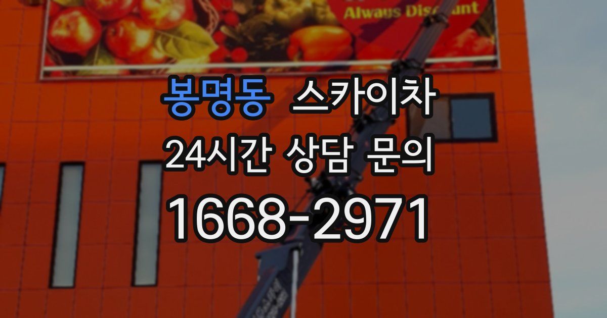 봉명동 스카이차