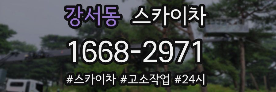 강서동 스카이차