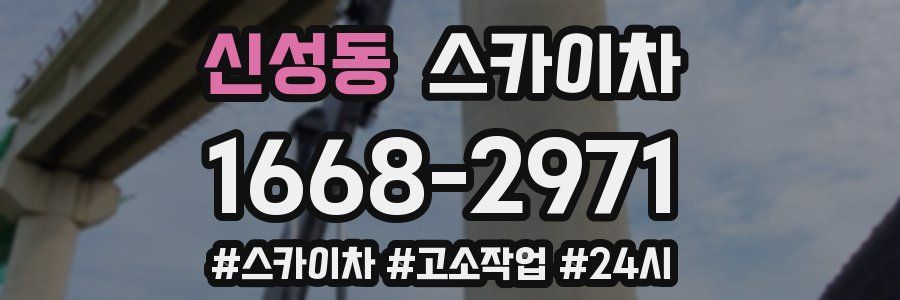 신성동 스카이차