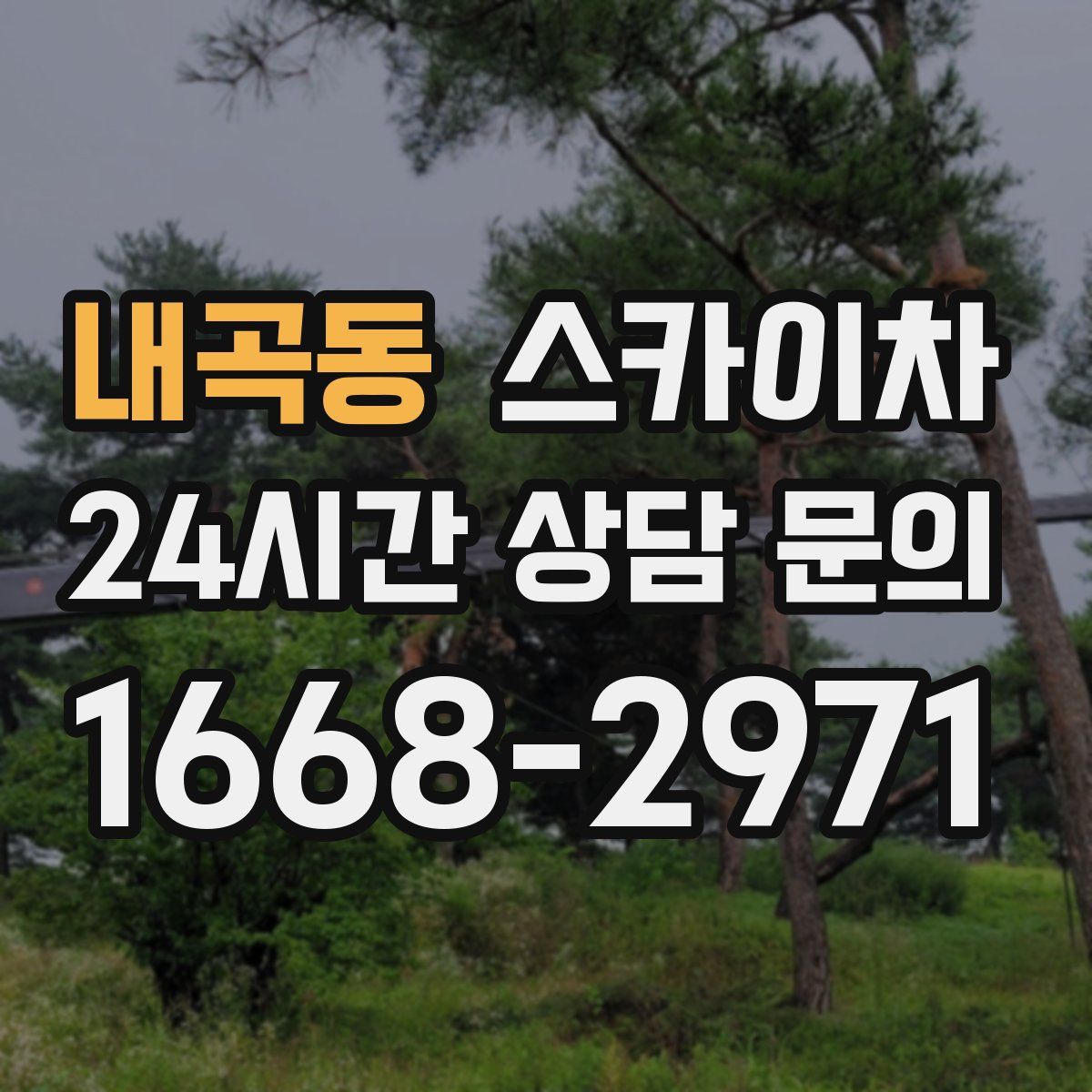 내곡동 스카이차