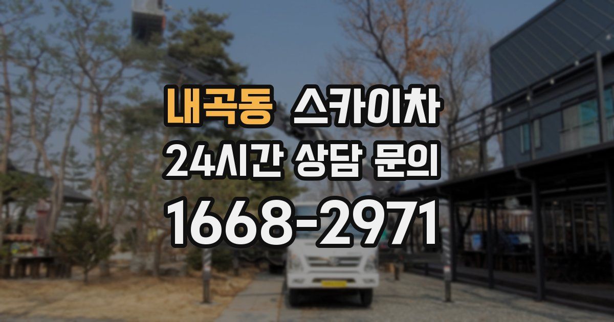 내곡동 스카이차