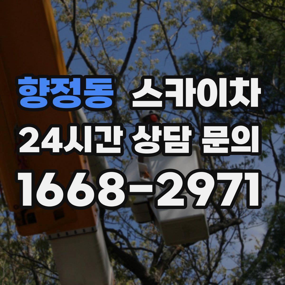 향정동 스카이차