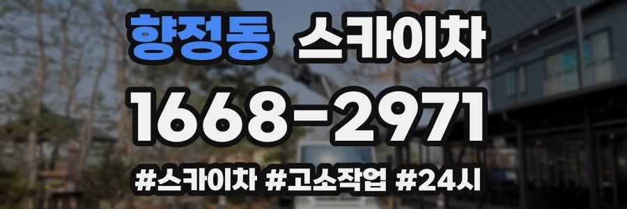 향정동 스카이차