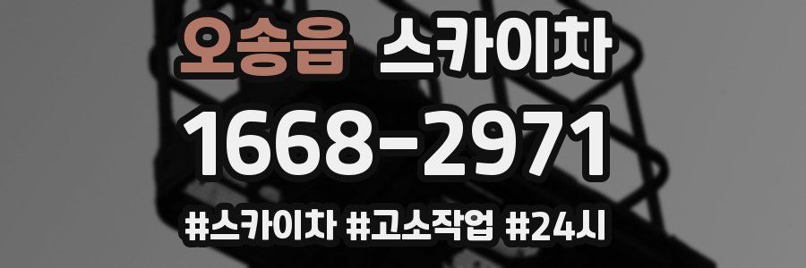 오송읍 스카이차