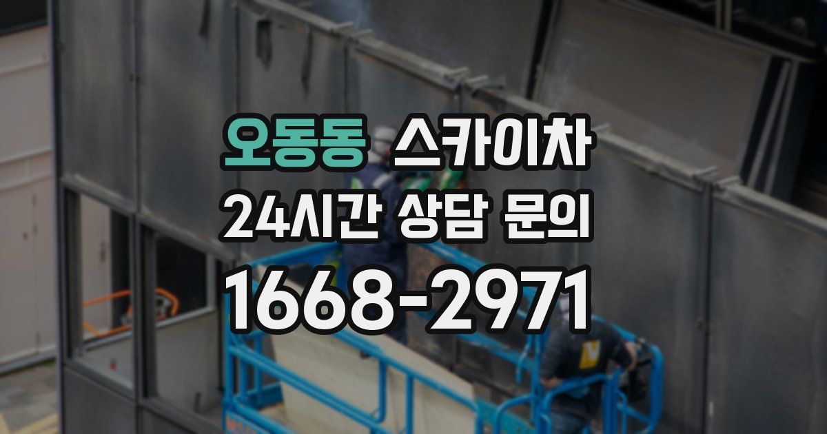 오동동 스카이차