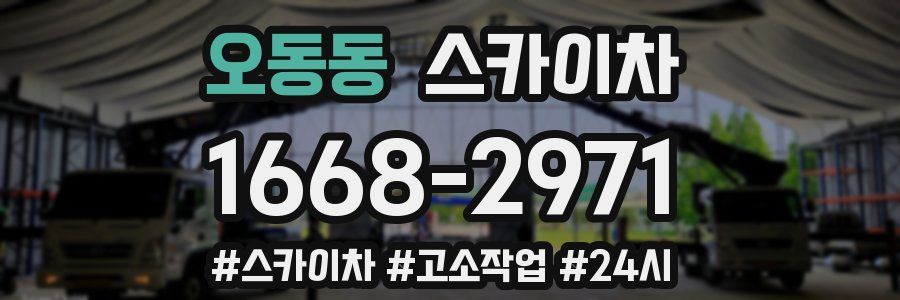 오동동 스카이차