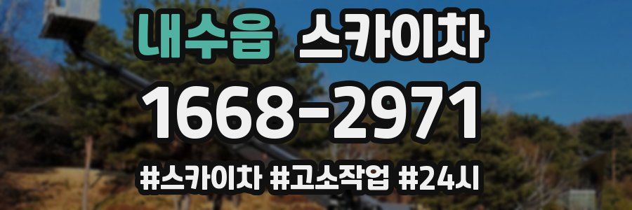 내수읍 스카이차
