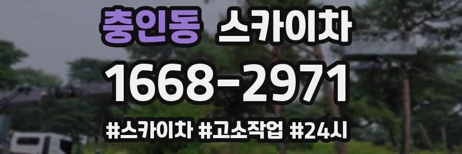 충인동 스카이차