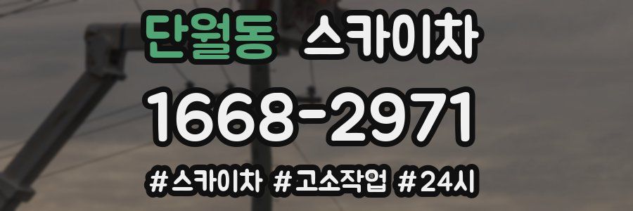 단월동 스카이차