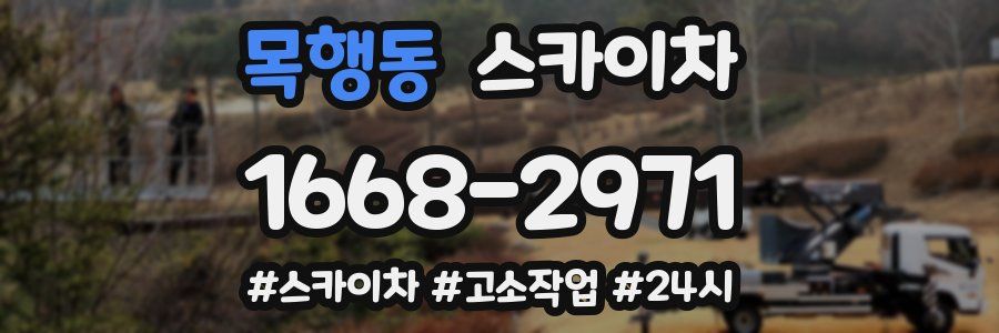 목행동 스카이차