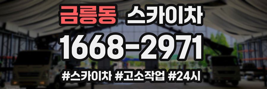 금릉동 스카이차