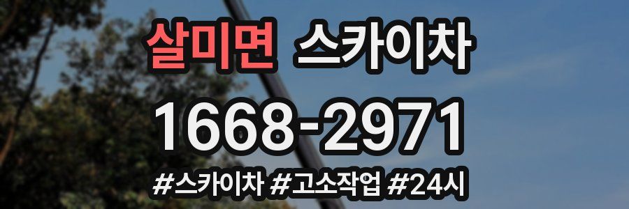 살미면 스카이차