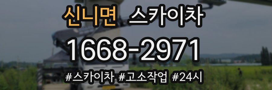 신니면 스카이차