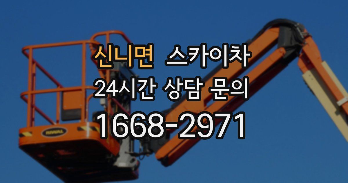 신니면 스카이차