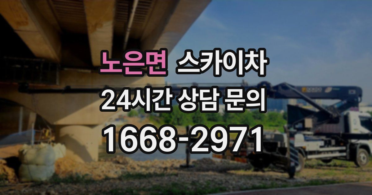 노은면 스카이차