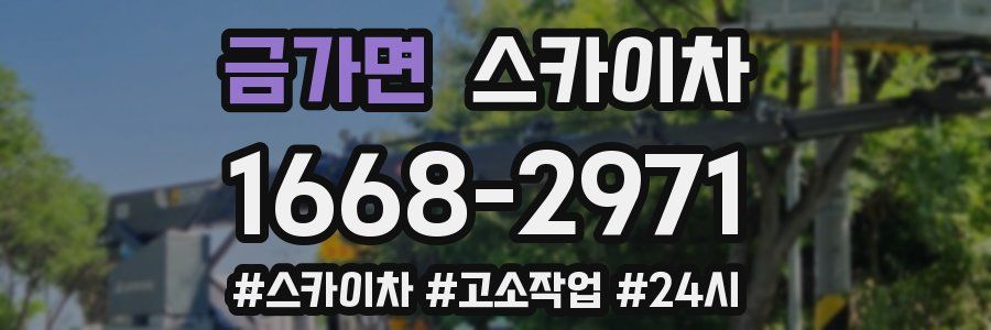 금가면 스카이차