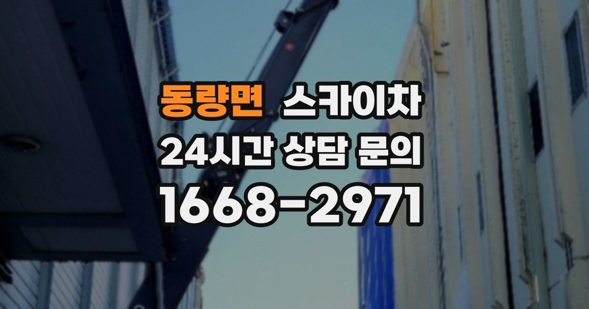 동량면 스카이차