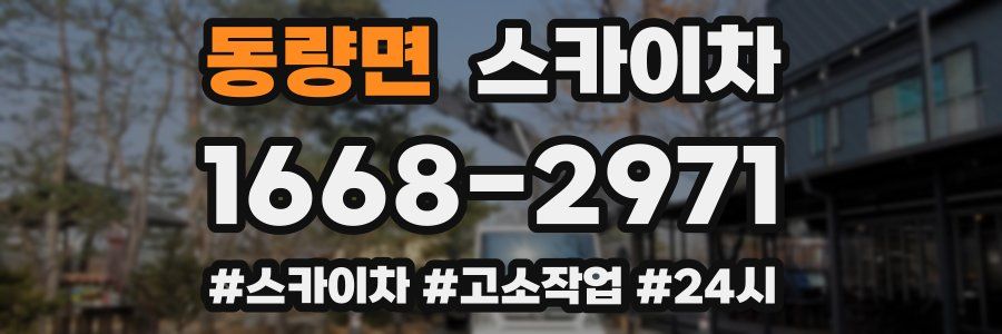 동량면 스카이차