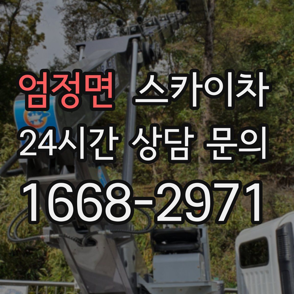 엄정면 스카이차