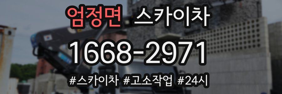 엄정면 스카이차