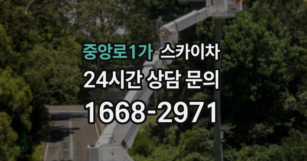 중앙로1가 스카이차