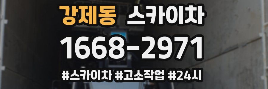 강제동 스카이차