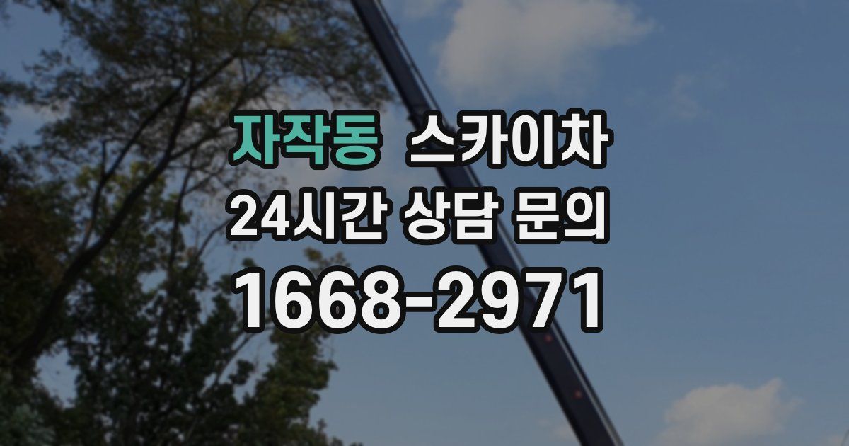 자작동 스카이차