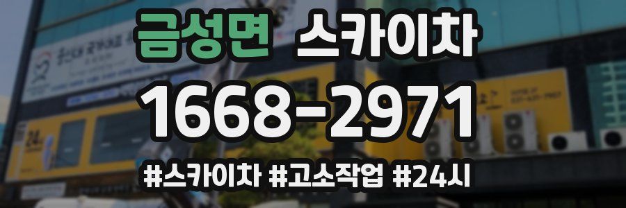 금성면 스카이차