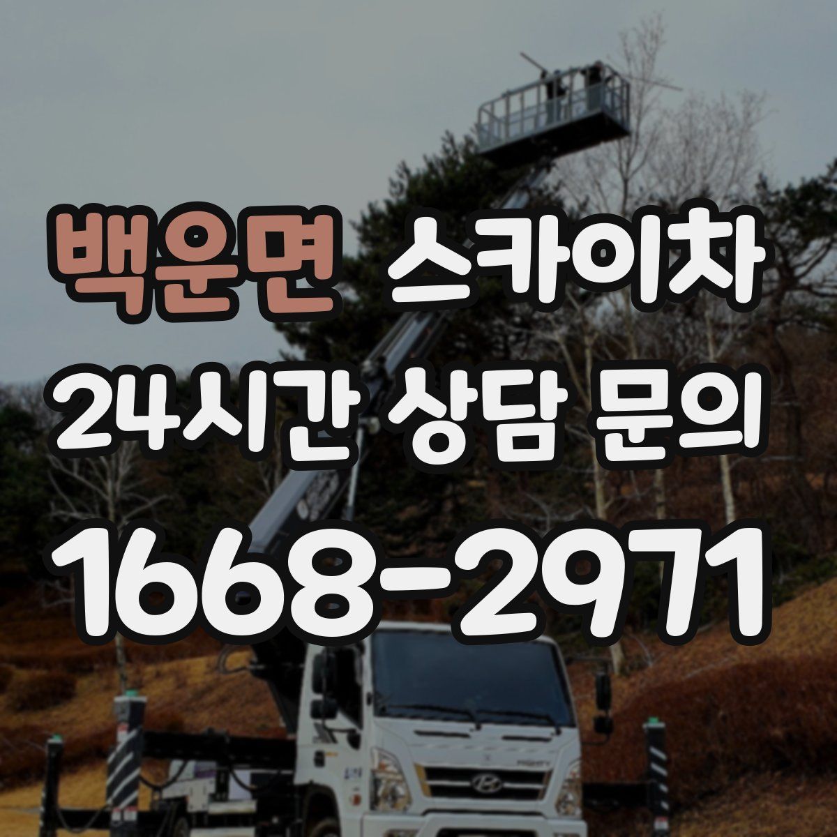 백운면 스카이차