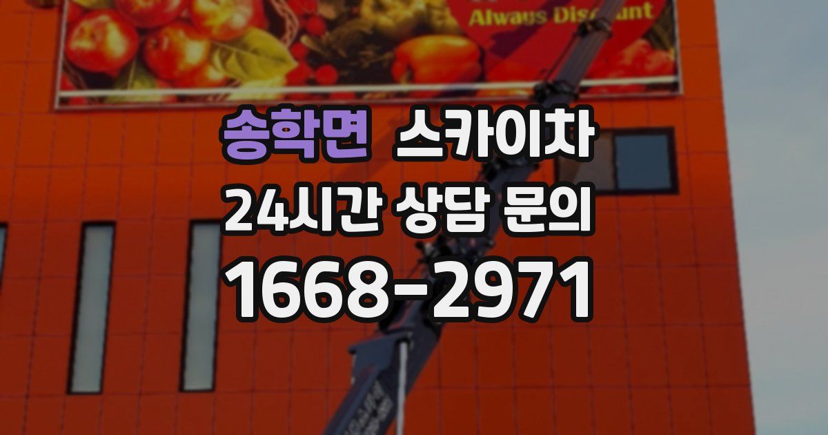 송학면 스카이차