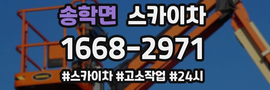 송학면 스카이차