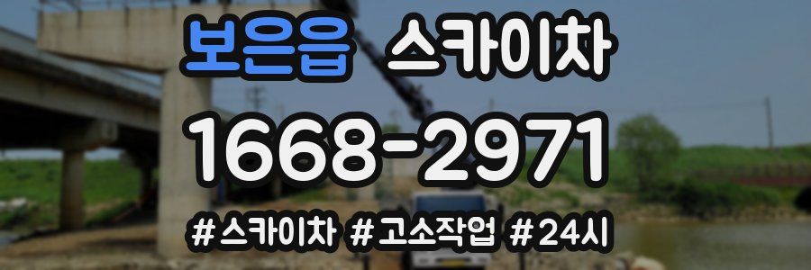 보은읍 스카이차