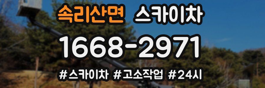 속리산면 스카이차