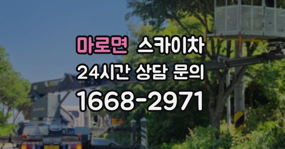 마로면 스카이차