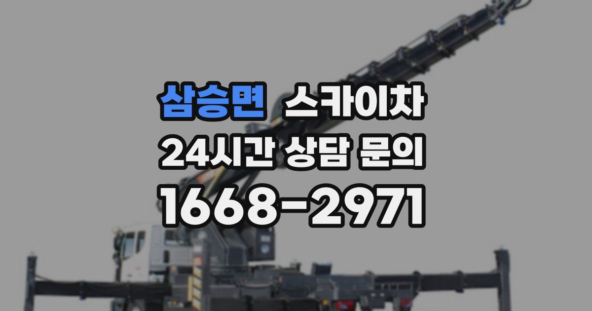삼승면 스카이차