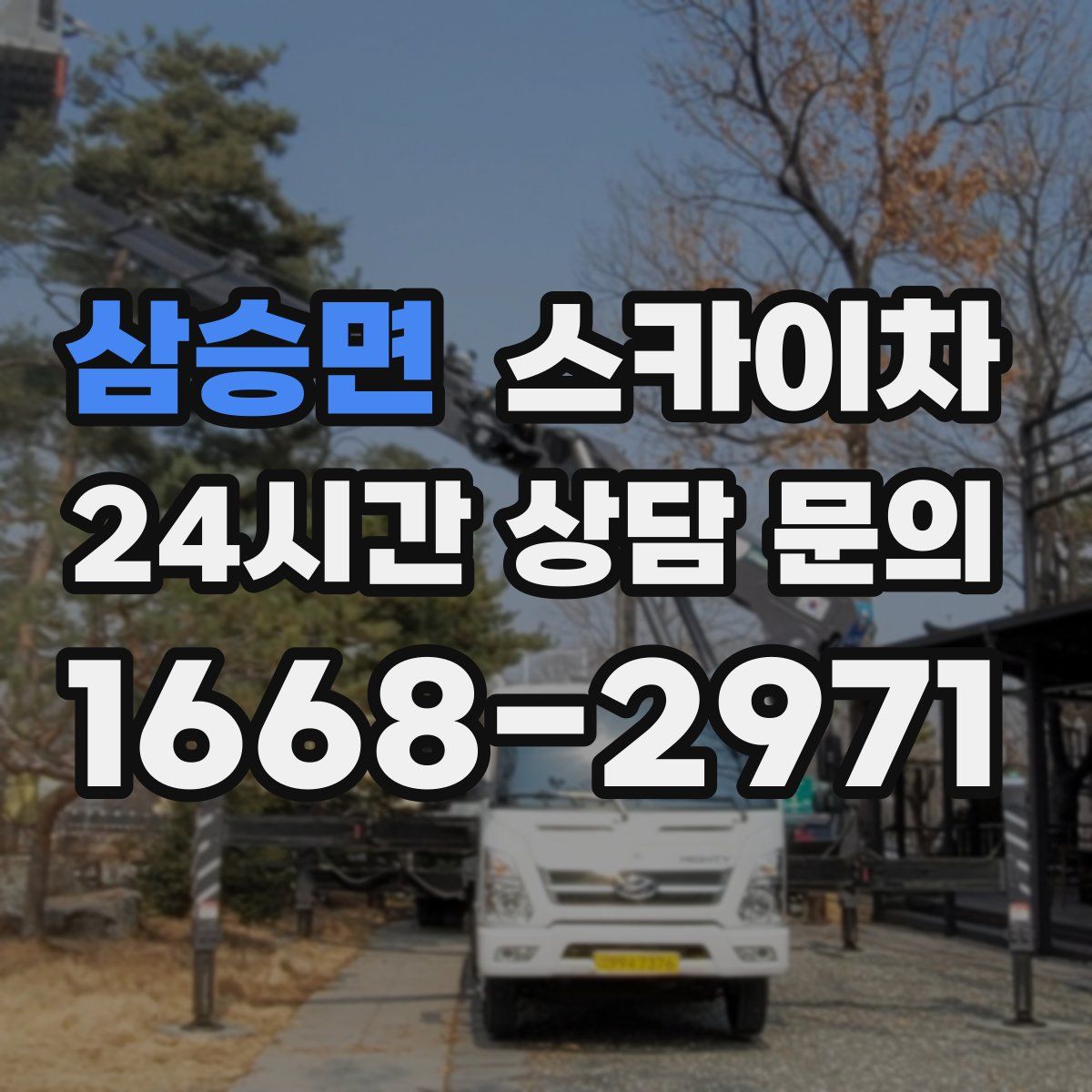 삼승면 스카이차