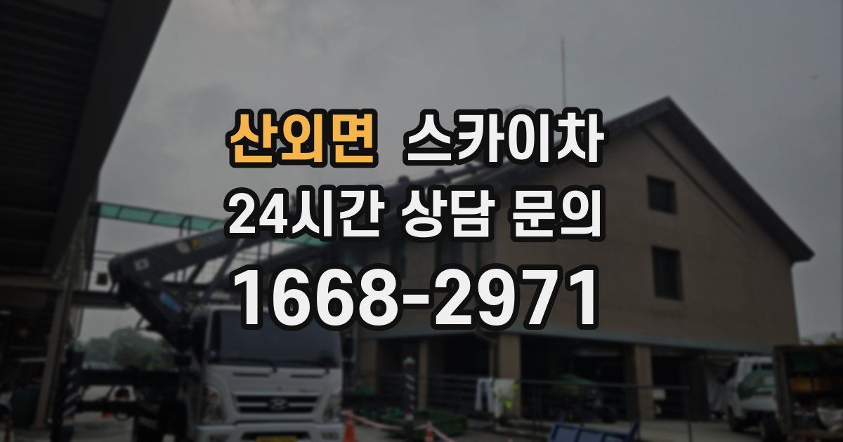 산외면 스카이차