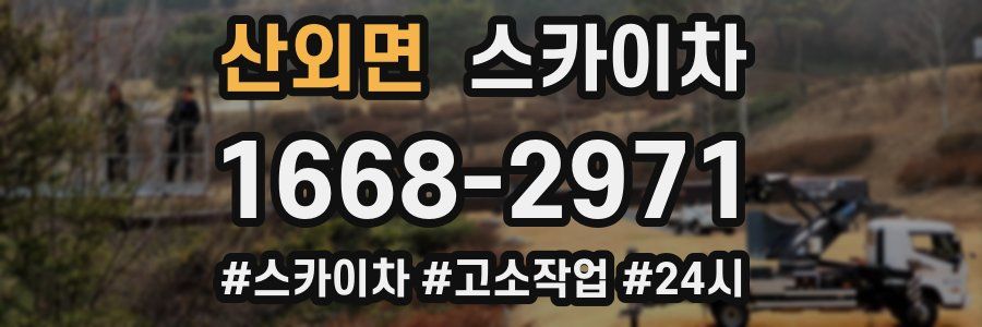 산외면 스카이차