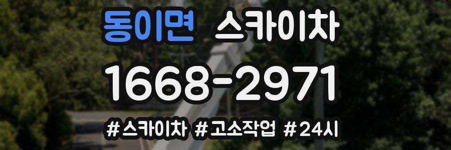 동이면 스카이차