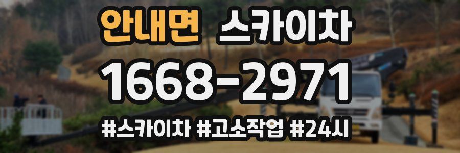 안내면 스카이차