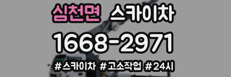 심천면 스카이차