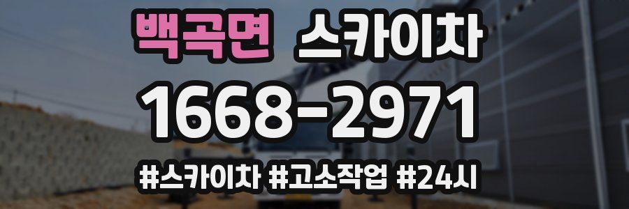 백곡면 스카이차